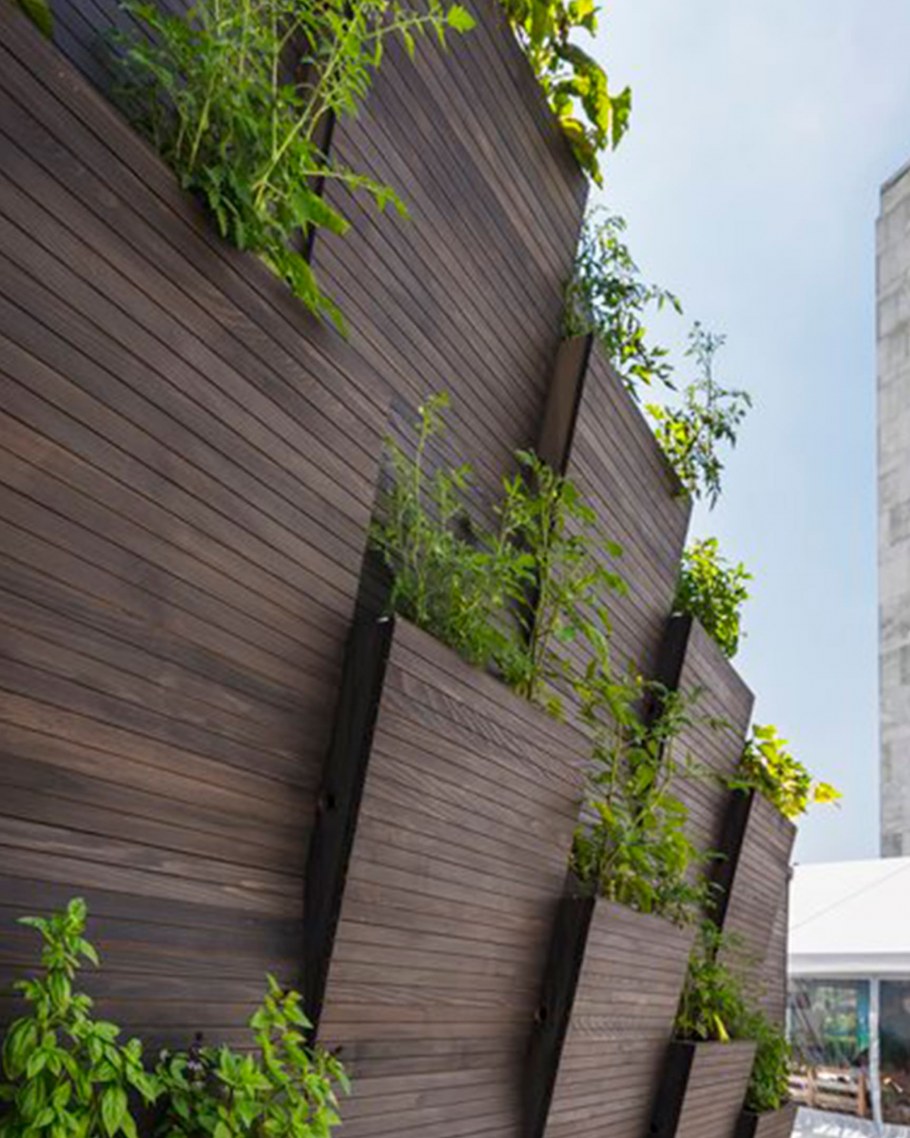 Вертикальное Озеленение архитектура