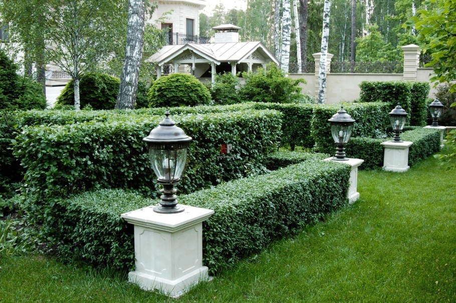 Классика ландшафт