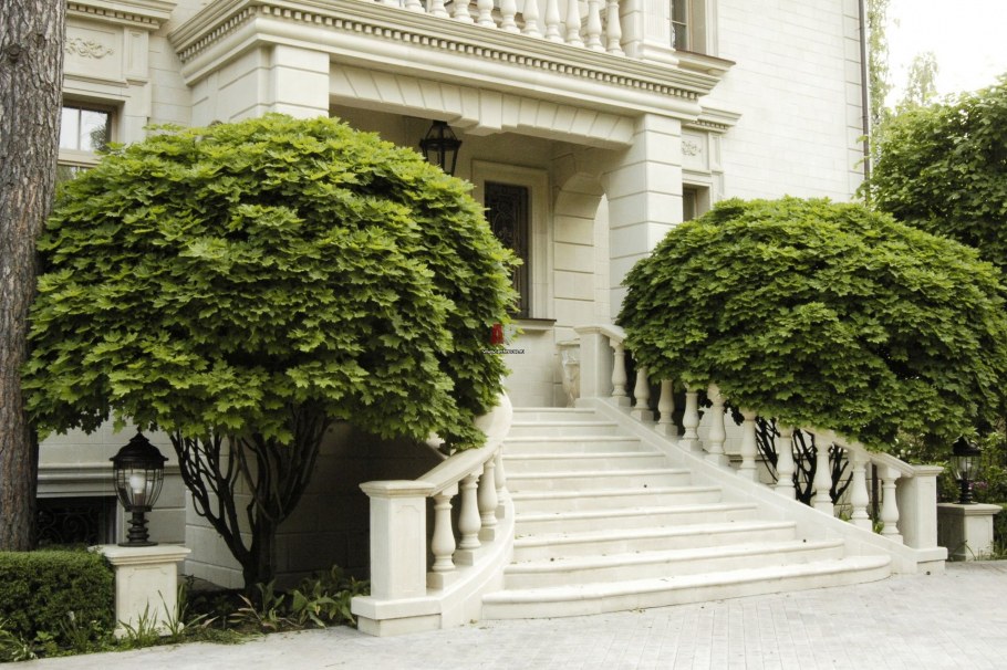 Il nature Гривко классический