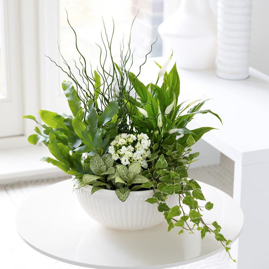 Пот-э-Флер флористика