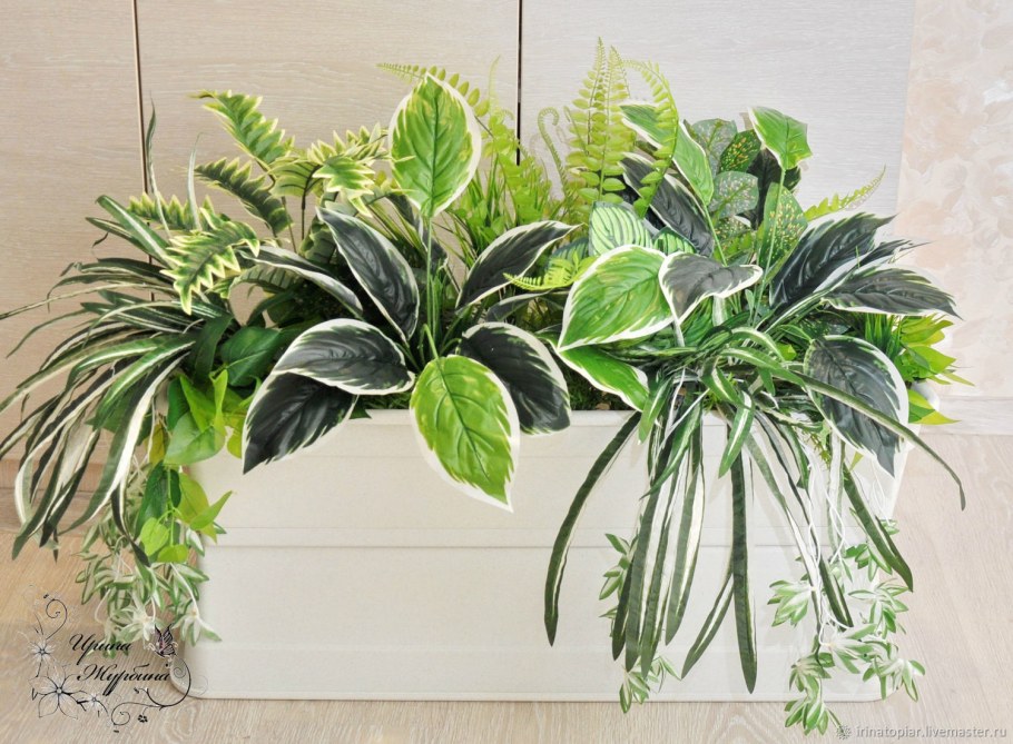 Композиция из комнатных цветов на стол