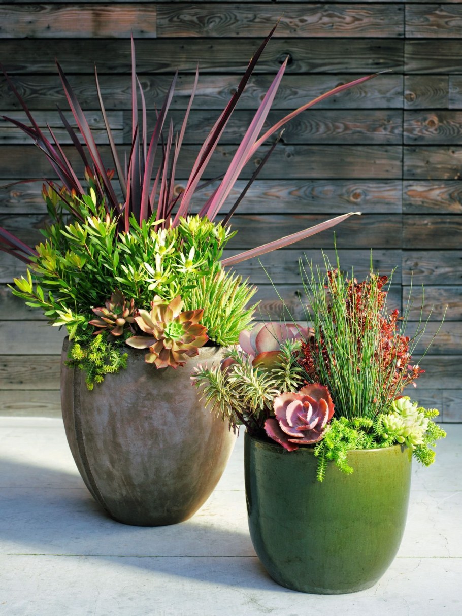 Горшок для суккулентов