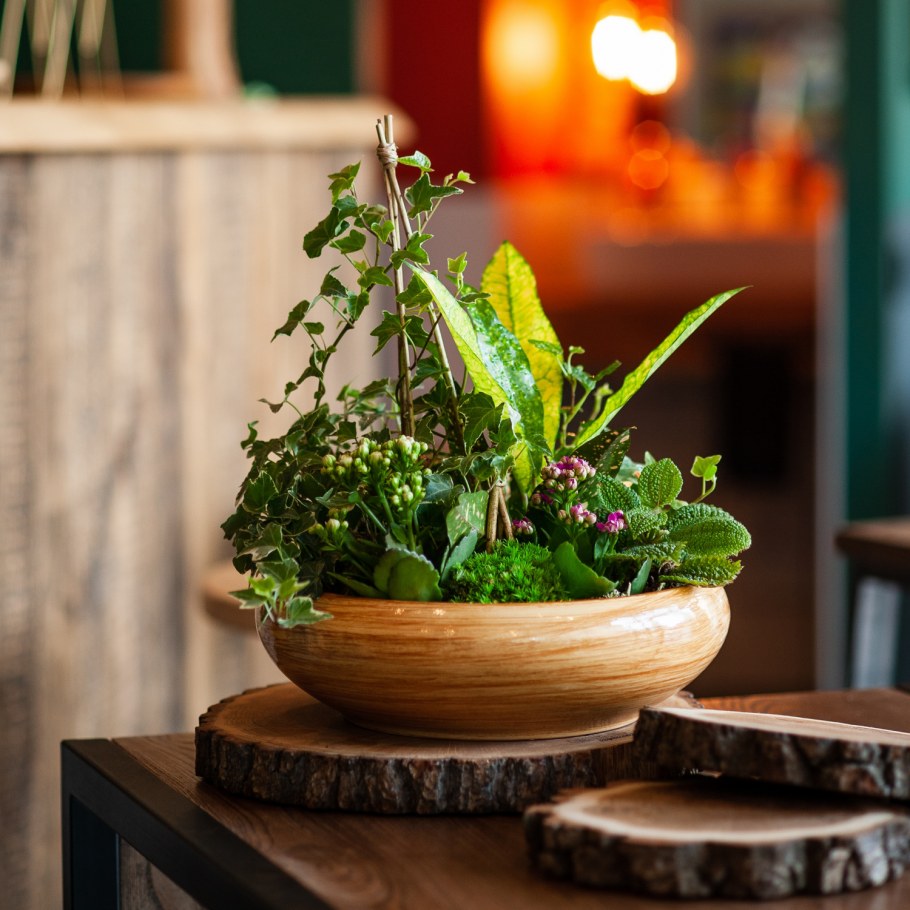 Пот-э-Флер Цветущий горшок