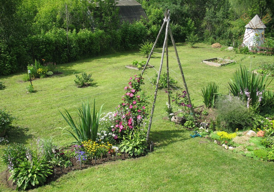 Цветы на газоне на даче