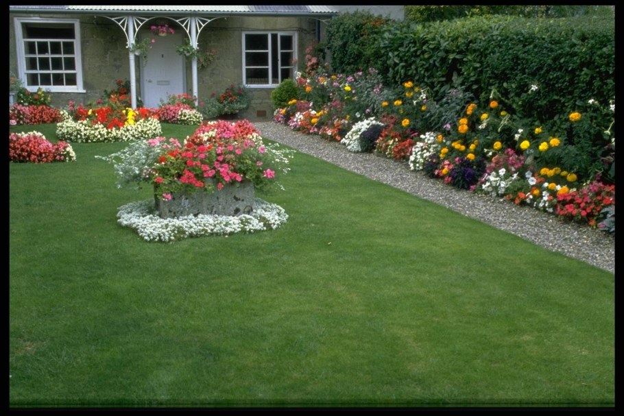 Красиво оформить газон