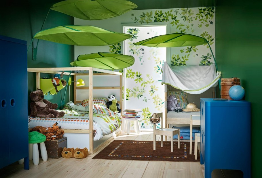 Комнатные растения Бенджамина фикус в интерьере квартиры