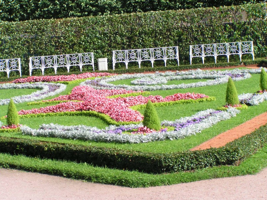 Рабатка Тунберга