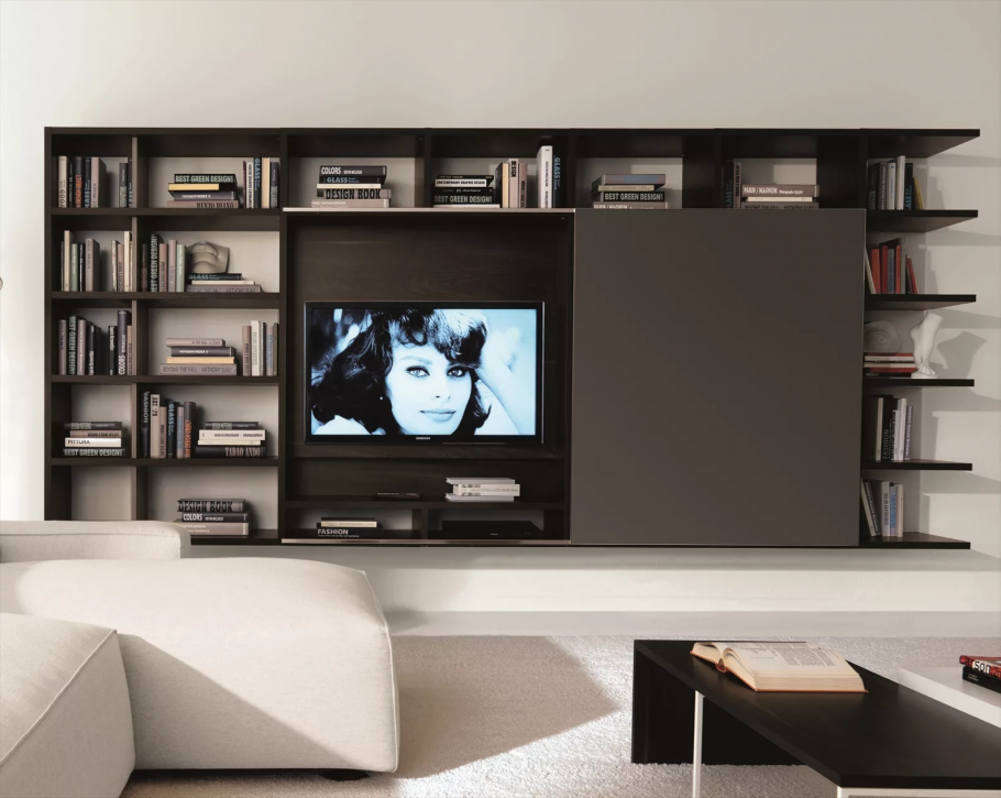 Стеллаж для книг и телевизора