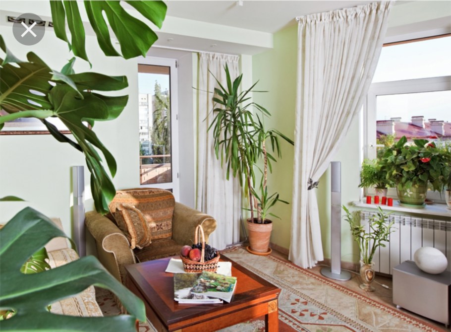 Композиция из горшечных растений в интерьере