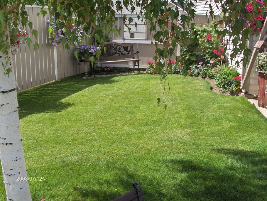 Двор на даче своими руками простые