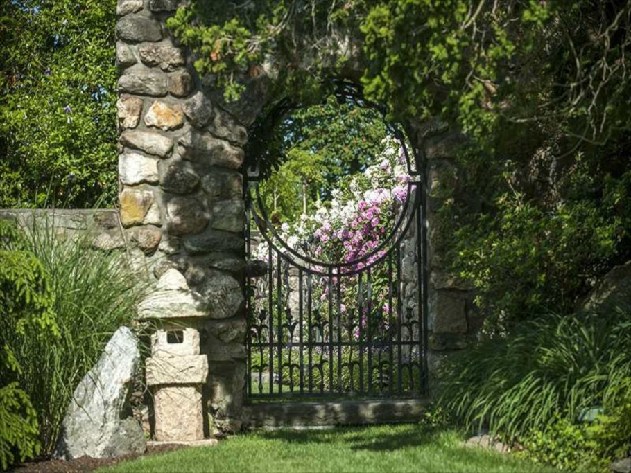 Гарден гейт (Garden Gate) плетистая