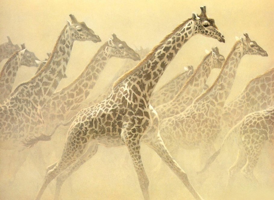 Графика африканские животные