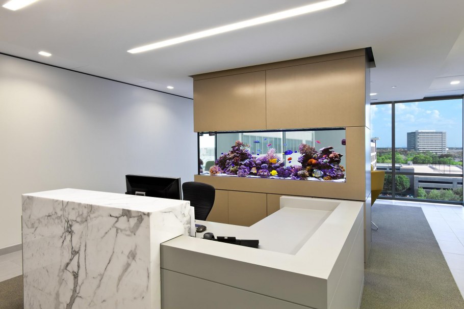 Аквариум в коттедже