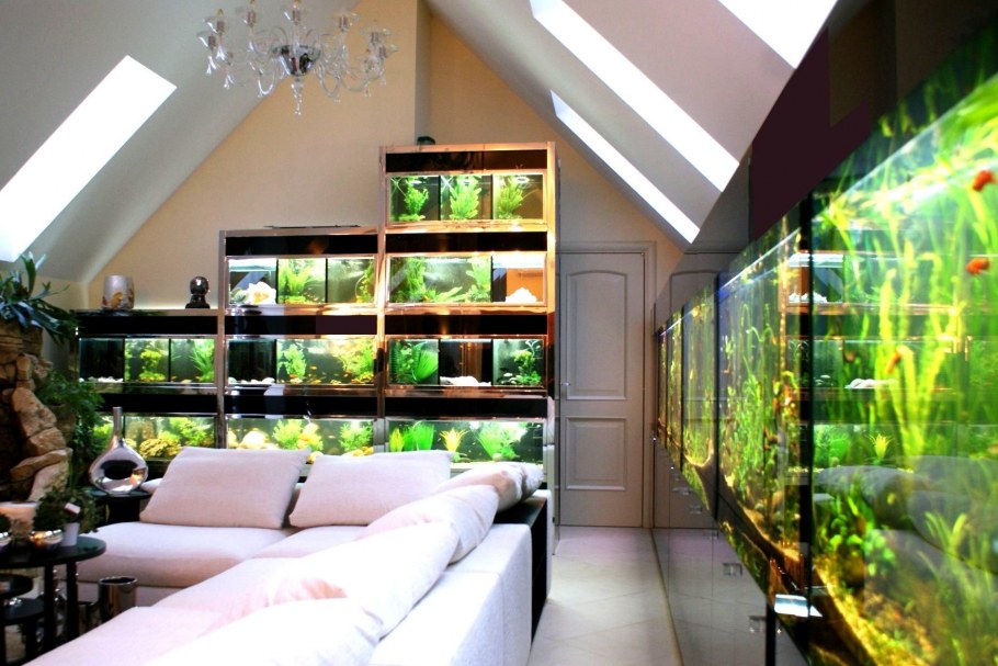 Встроенные аквариумы в интерьере