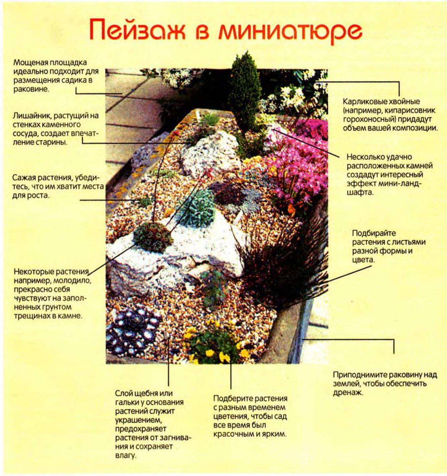 Рокарий Каменистый сад схема