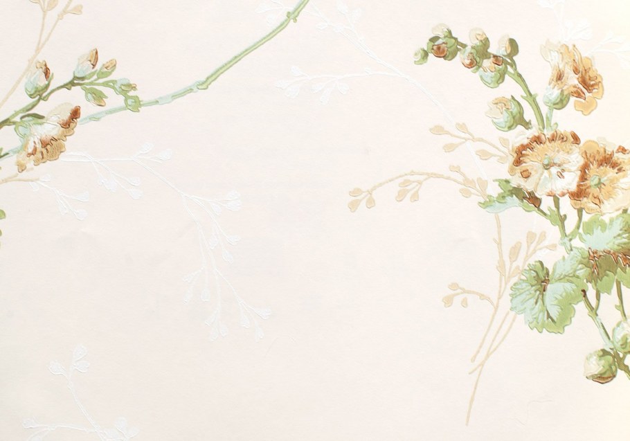 Фон бежевый нежный