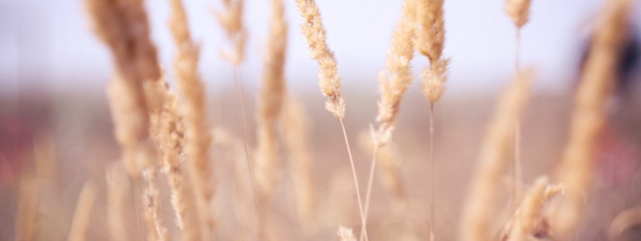 Бежевый фон Эстетика