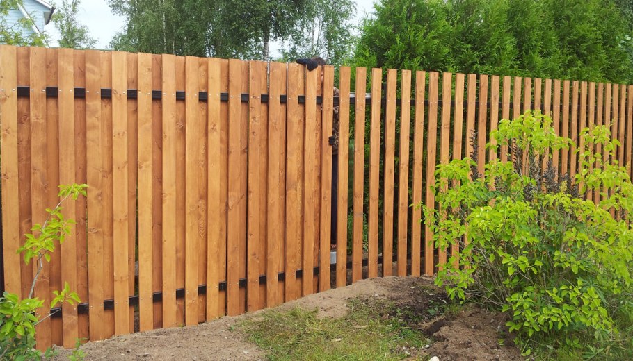 Забор штакетник деревянный