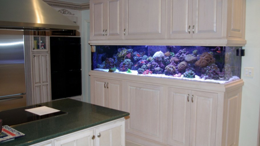 Аквариум встроенный в кухню