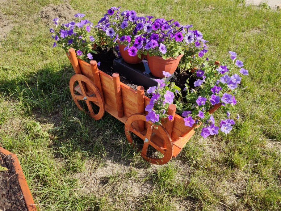 Высокие клумбы для цветов