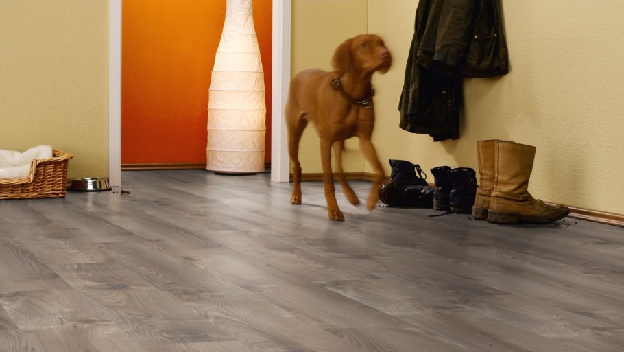 Moduleo Impress Laurel Oak 51102