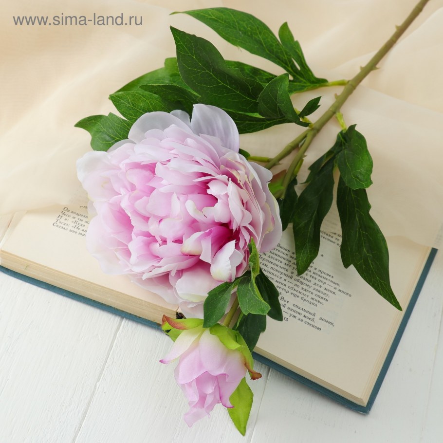 Пион букет bu03773