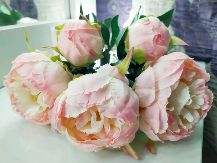 Пионы премиум