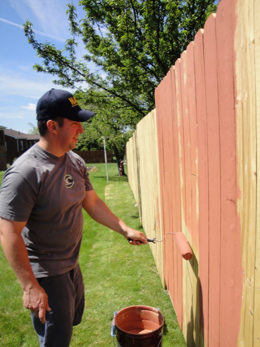 Краска для забора из дерева