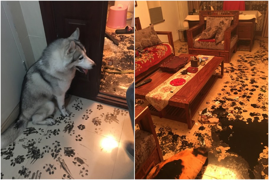 Стиль дзен в интерьере