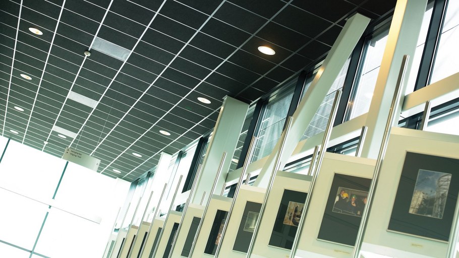 Rockfon Industrial Black 600х600