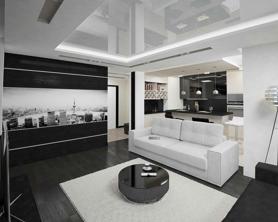 Кухня с гостинной 20кв м совр