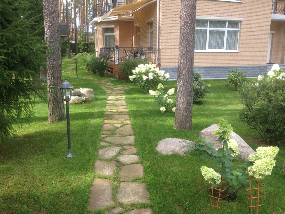 Озеленение территории приусадебного участка 20 соток