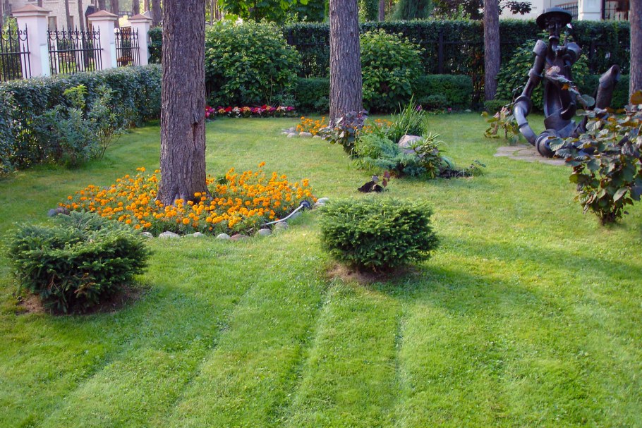 Куртина что это в ландшафте