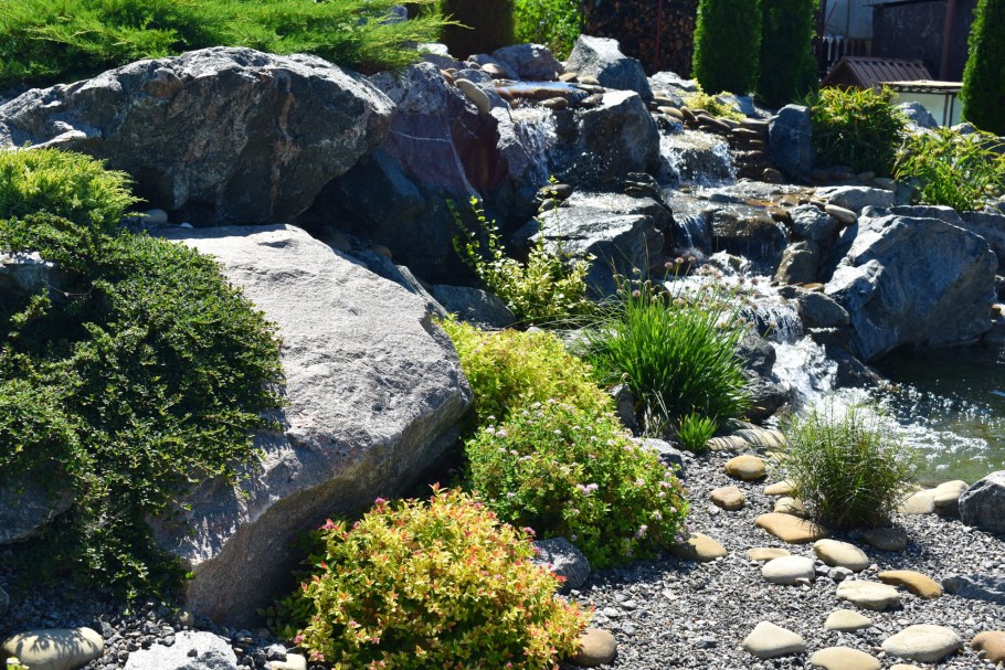 Коряга на альпийской Горке