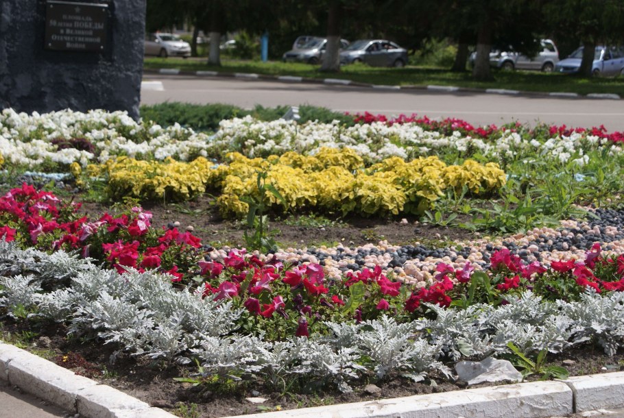 Зимние городские клумбы