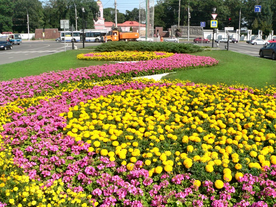Общественные цветники