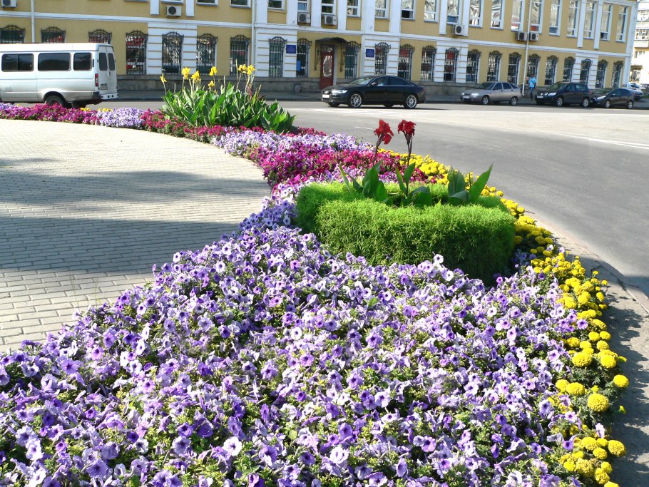 Цветники в городе
