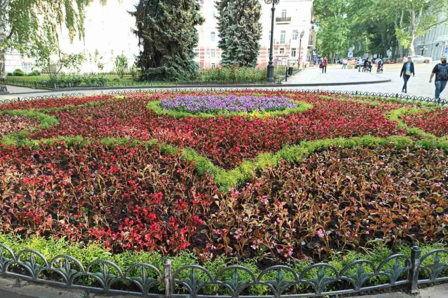 Озеленитель Армавир