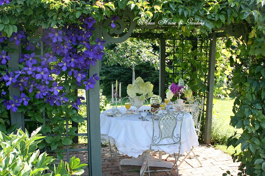 Клематис на перголе