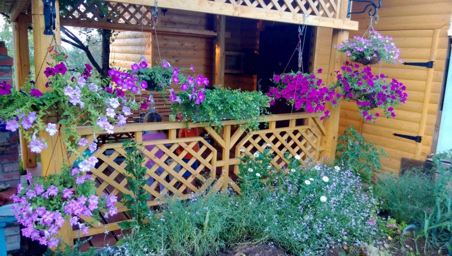 Перголы для петунии