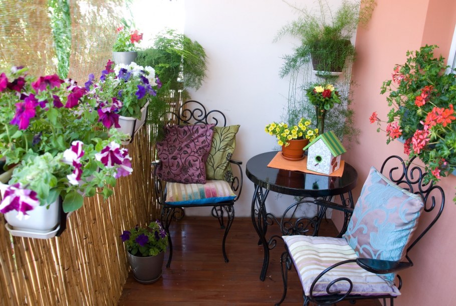 Красивые комнатные цветы на балконе