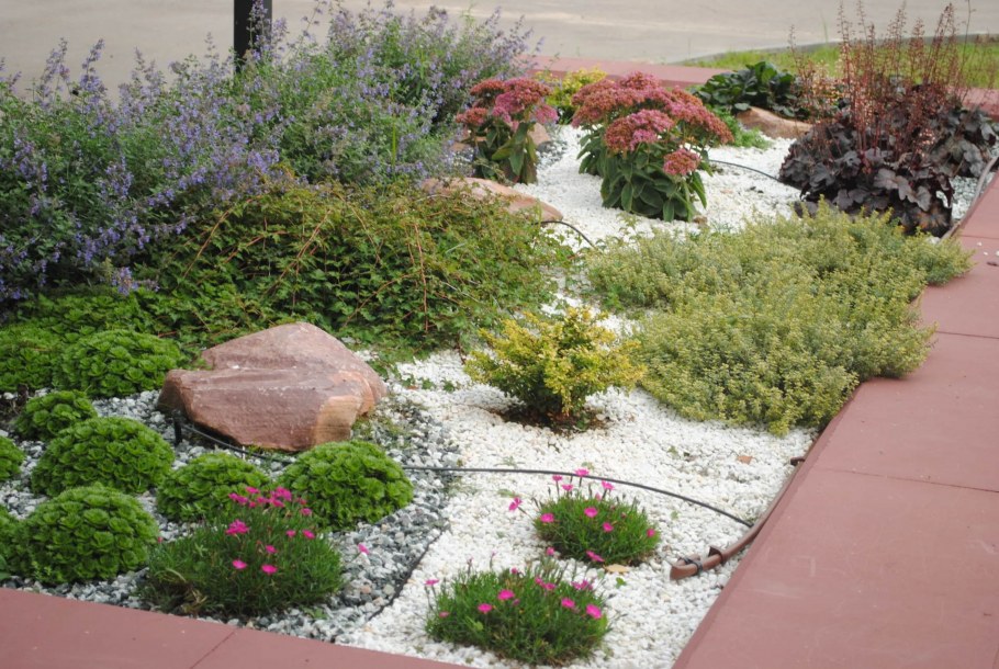 Рокарий горный ручей