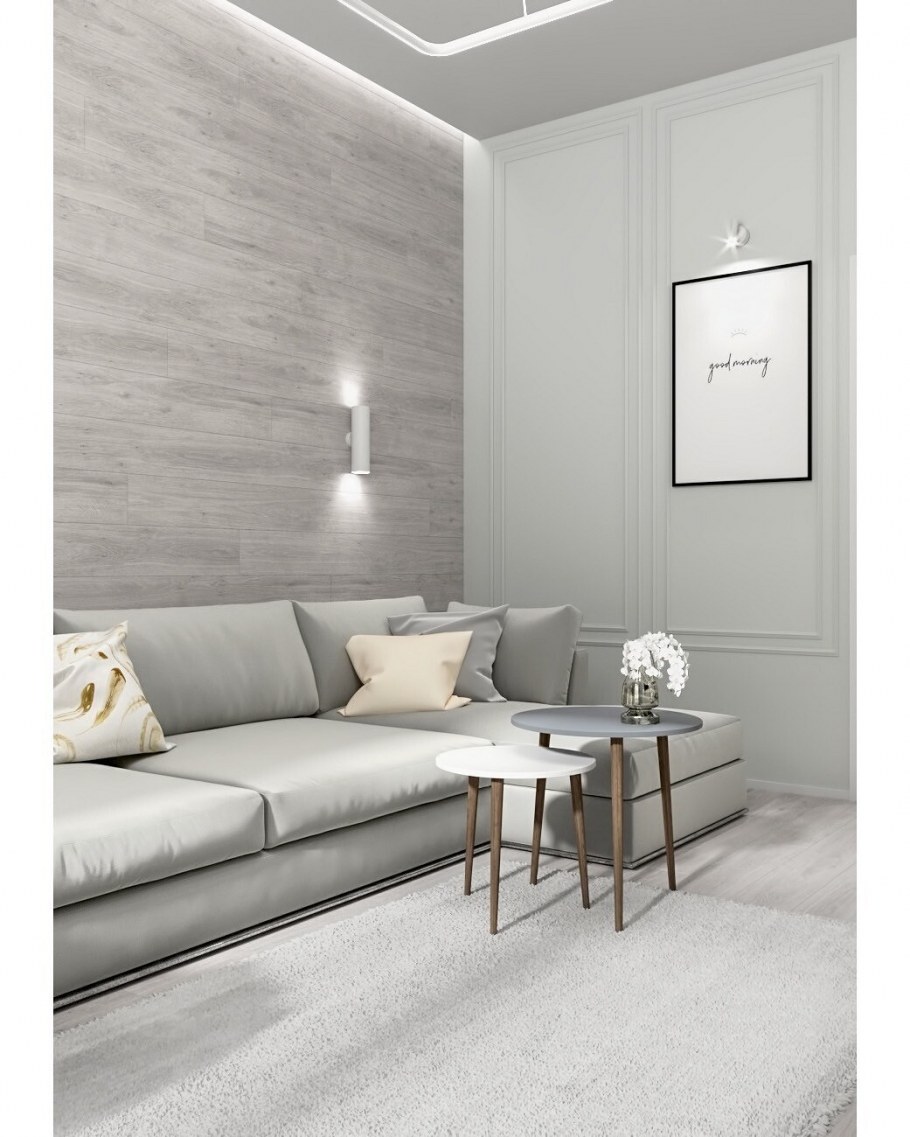 Гостиная в светло серых тонах