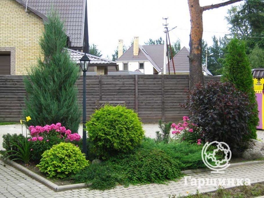 Миксбордеры с хвойниками