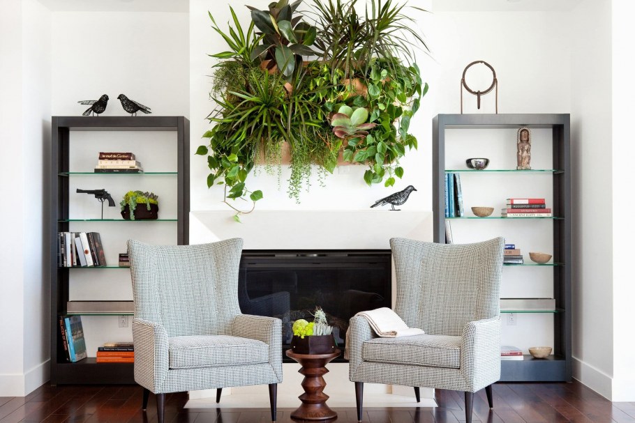 Разместить цветы в квартире