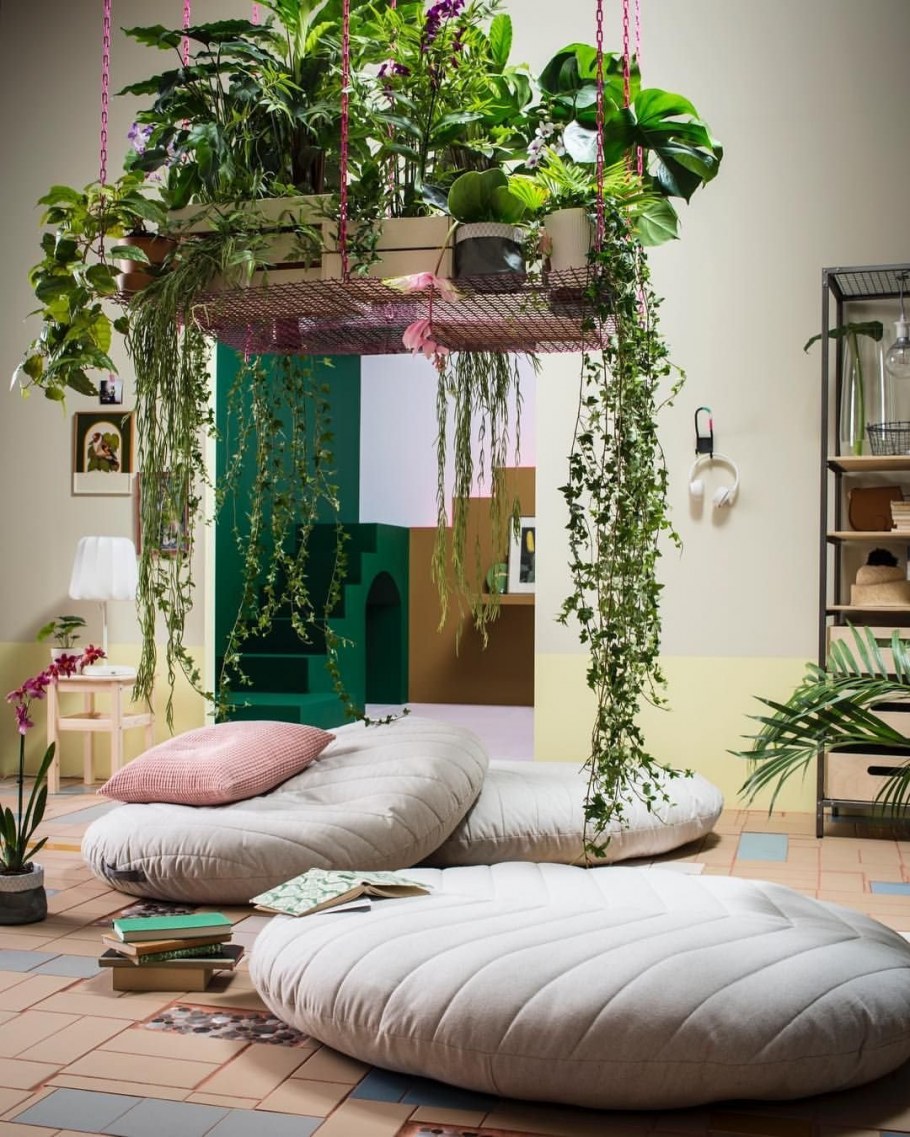 Комнатные растения в интерьере