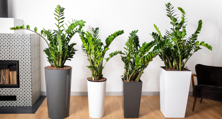 Полки над телевизором в гостиной закрытые