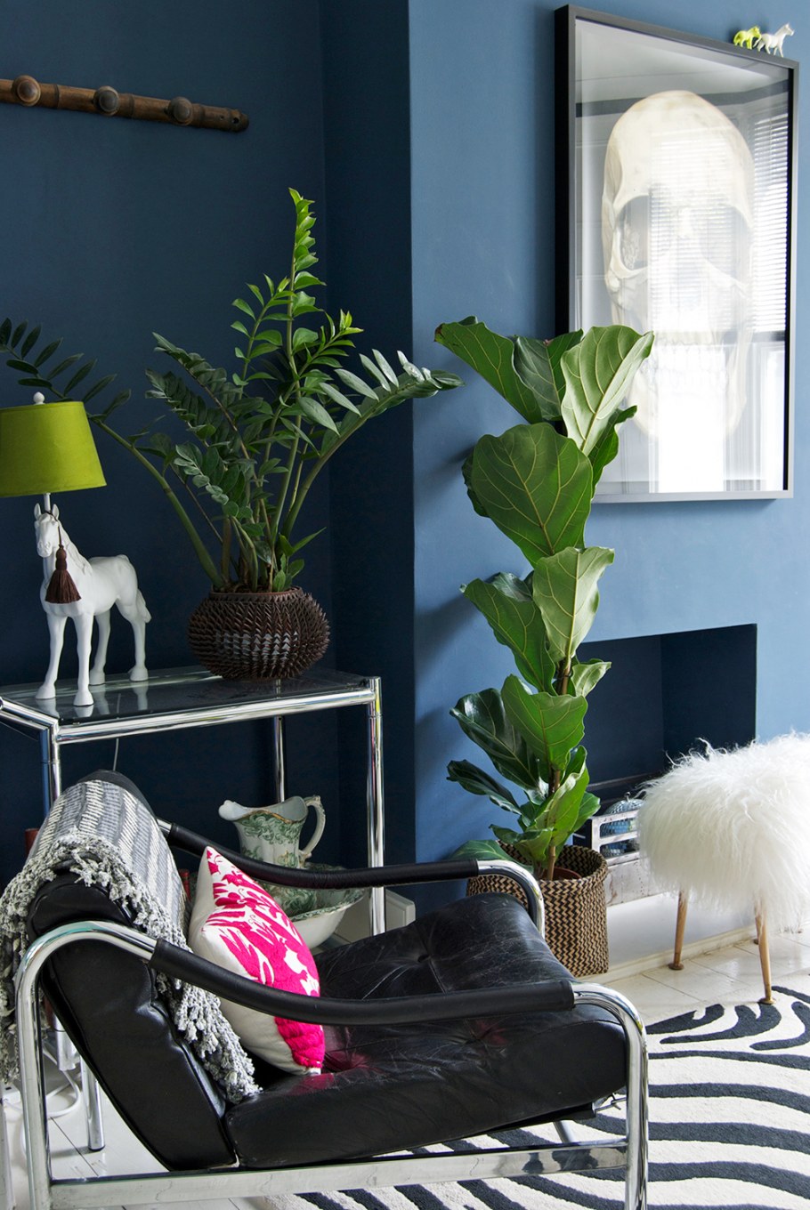 Замиокулькас в интерьере