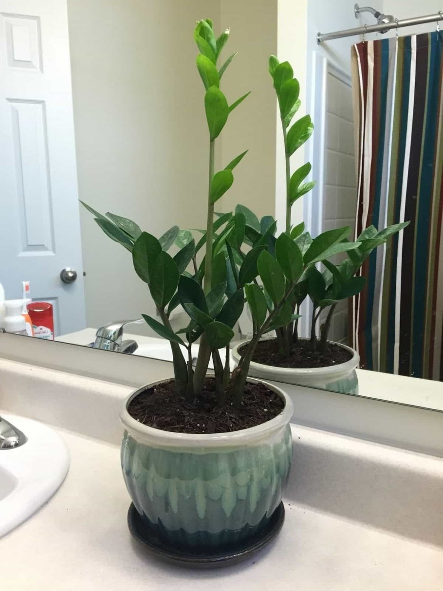 Кашпо Lechuza Rondo 40