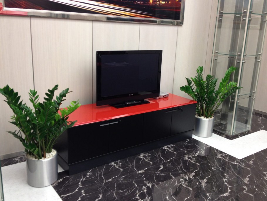 Замиокулькас в кашпо